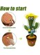 Dancing Cactus Plush Stuffed Toy with Music