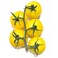 Yellow Tomato Bunch
