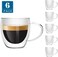 Lushh 250 ML Double Wall Insulated Glass with Handle, Coffee or Tea Glass Mugs for Latte, Cappuccino, Americano, Tea and Beverage 6 Pcs Set
