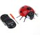 FITTO Remote-Controlled Wall Climbing Ladybug Toy, Fun Toy for Children and Adult