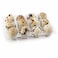 Quail Eggs - 12 Pieces