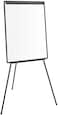 Generic Magnetic Stand Flip Chart