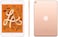 Apple iPad Mini Wi-Fi+Cellular 64GB 7.9 Gold (5th Generation)