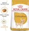 Royal Canin Bhn Chihuahua Adult 1.5 Kg Breed Health Nutrition Dog Food, Multicolor, 02Rcch1.5, Chihuahua Adult Dog Dry Food
