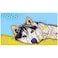 Drymate Mats for Dogs Siberian Husky 16 x 28inch/40 Cms X 71 Cms