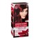 Garnier color intensity intense permanent color 4.60 intense dark red