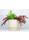 Light Yellow Round Ceramic Flower Pots for Indoor Gardening, Home, or Office D&eacute;cor-M