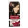 Garnier 3.0 Dark Brown Intense Permanent Color Cream