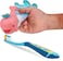 Flipper Toothpaste Squirter, Flr-Whl-Pnk, Pink