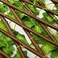Generic 1.2 M Expandable Wicker Large Fence With Faux Plants