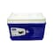 ANF Ice Box 6L