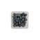 Blueberry 125gr