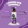 Pawsitiv Natural and Tearless Shampoo for Dogs &amp; Cats - Soothes Itchy &amp; Dry Skin, Gives Healthy &amp; Shiny Coat, Has Calming effect with Long Lasting Odour Control - 500ML (Lavender with Chamomile)