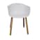 Jilphar Modern Fiber Plastic Chair JP1324B