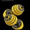 Max Strength Dumbbell And Barbell Set Weightlifting Fitness Cement Steel Rubber Adjustable Dumbbell And Barbell Set 2 In 1 (15kg)