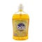 Brio Pure Confidence Anti Bacterial Hand Wash 500ml