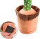 Ninuo Dancing Cactus, Tiktok Cactus Plushie Electronic Plush Toy, Repeats What You Say Recording Toys, Shake Body Singing Dancing Cactus Plush Toys For Home, Gift For Kids And Toddler With 120 Songs