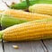 Sweet Corn
