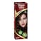 Bigen Dark Chestnut Hair Color No. 40 N/A