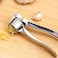 Stainless Ginger and Garlic Crusher, Garlic Chopper, Ginger Mincer, Ginger Squeezer Masher - Rustproof