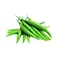 Chili Hot Green