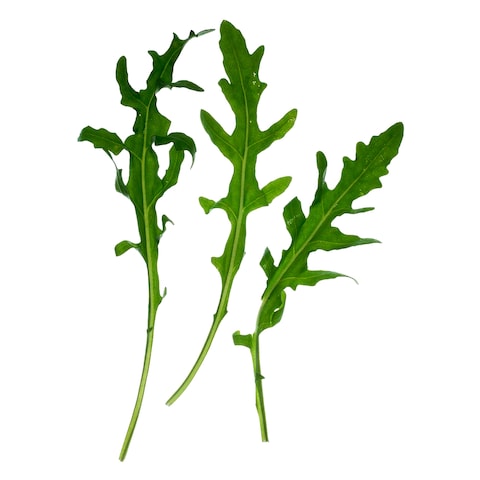 Farm Fresh Rocket 100G