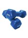 Generic 2-Piece Vinyl Dumbbells Set 2kg