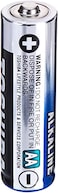 TOSHIBA Long-lasting Vibration resistance High Power Alkaline AA - 20 Battery Pack
