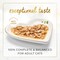 Purina Fancy Feast Gravy Lovers Salmon Feast in Seared Salmon Flavour in Gravy Cat Food, 85g