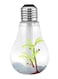 Generic Mini Usb Bulb Shape Air Humidifier 18326 Transparent/Silver