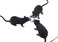 Muzboo 3 Pack Fake Rat, Realistic Mouse Model, Halloween Tricks Pranks Props Toy Pvc
