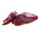 Farm Chicken Liver