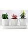 Generic 3 Pcs Geometric Succulent Designed Planter With Trey, Set Of 3 White Ceramic Succulent Cactus Square Planter Pots With Bamboo Tray(Plants Not Included)