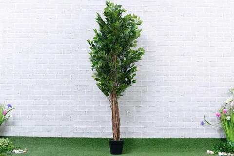 PAN Home Ficus-Tree Wood Trunk W/Pot Green H180cm