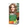 Garnier Color Naturals Hair Color 7.11 Deep Ashy Blonde 60ML