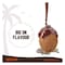 Kentaste Chocolate Coconut Chips 40G