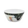 DINEWELL KIDS BOWL ASTRONAUT , DWC2147AST, 300 ML