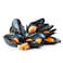 Frozen Mussels