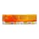 Nestle Squizz Mango Stick 60ml