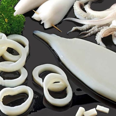Frozen Squid Cleaned