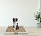 Dog Toilet for Training, Easy To Clean, All Breed Dog Potty Toilet with Tray, Keep Paws and Floor Clean, Indoor Outdoor, Portable, Durable, Beige Color, Large Size 76 Cm Length