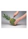Generic Pineapple Corer Slicer Silver/Black