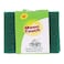 Moon Touch Green Kitchen Scouring Pad