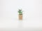 Artificial succulent bonsai -Model 01