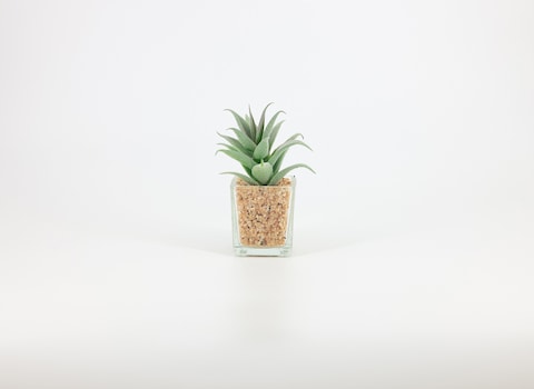 Artificial succulent bonsai -Model 01