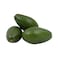 Avocado Fuerte