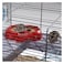 Ferplast Favola Hamster Cage 1 Piece Clear