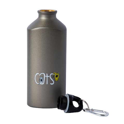 Biggdesign Cats Aluminum Water Bottle, Insulated Thermos Water Bottle With Lid and Carabiner Clip, BPA Free and Leak Proof, Cats Design, 20 oz (600 Ml)