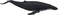 Animal Planet Science4You 387119 - Buckelwal - Figur - M