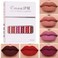 CMAADU 6-Piece Liquid Matte Lipstick Set No.3